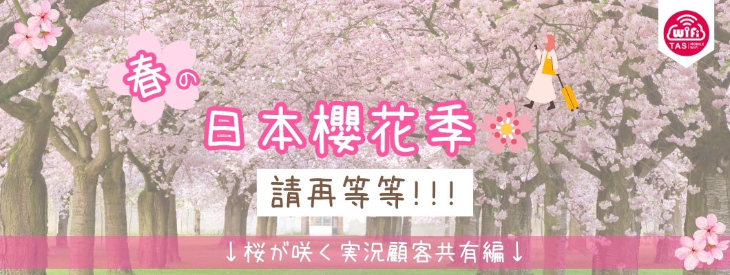TAS Mobile WiFi  小編遊記 【日本 東京篇】春~日本櫻花季